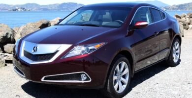 Descargar Manual Acura ZDX 2010 de Usuario