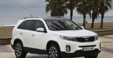 Descargar Manual KIA Sorento 2014 de Usuario