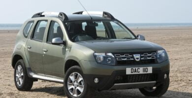 Descargar Manual RENAULT DUSTER 2015 de Usuario