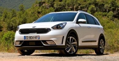 Descargar Manual KIA Niro 2017 de Usuario