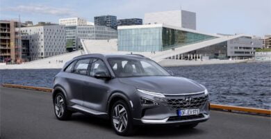 Descargar Manual HYUNDAI Nexo 2019 de Usuario