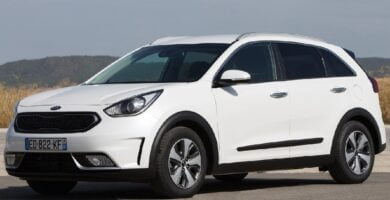 Descargar Manual KIA Niro 2019 de Usuario