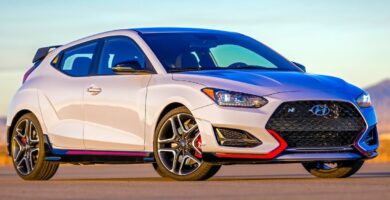 Descargar Manual HYUNDAI Veloster 2019 de Usuario