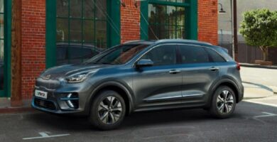 Descargar Manual KIA Niroev 2020 de Usuario