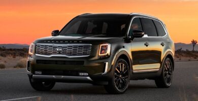 Descargar Manual KIA Telluride 2020 de Usuario