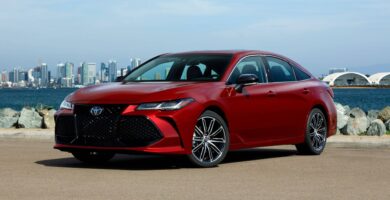 Descargar Manual Toyota Avalon Hibrido 2019 de Usuario