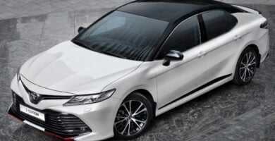 Descargar Manual Toyota Camry 2020 de Usuario