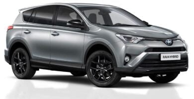 Descargar Manual Toyota RAV4 2018 de Usuario