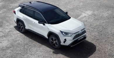 Descargar Manual Toyota RAV4 Hybrid 2019 de Usuario