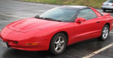 Descargar Manual PONTIAC FIREBIRD 1993 de Usuario