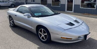 Descargar Manual PONTIAC FIREBIRD 1994 de Usuario