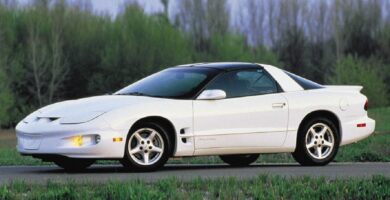 Descargar Manual PONTIAC FIREBIRD 2001 de Usuario