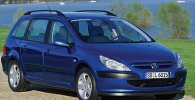 Descargar Manual PEUGEOT 307 BREAK 2002 de usuario PDF gratis