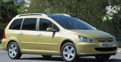 Descargar Manual PEUGEOT 307 SW 2002 de usuario PDF gratis