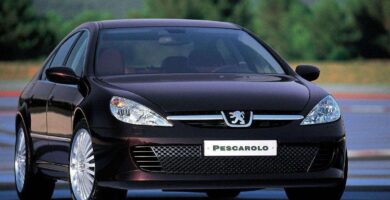 Descargar Manual PEUGEOT 607 2002 de usuario PDF gratis