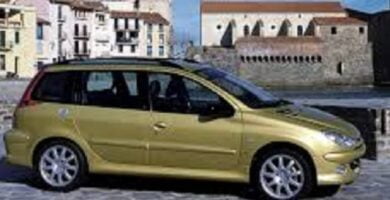 Descargar Manual PEUGEOT 206 SW 2003 de usuario PDF gratis