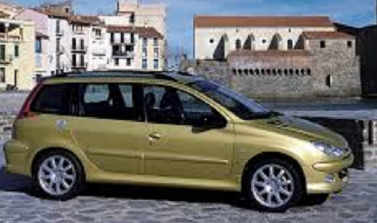 📘 Manual PEUGEOT 206 SW 2003 de usuario PDF gratis