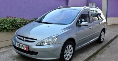 Descargar Manual PEUGEOT 307 SW 2003 de usuario PDF gratis