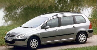 Descargar Manual PEUGEOT 307 BREAK 2004 de usuario PDF gratis