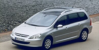 Descargar Manual PEUGEOT 307 SW 2004 de usuario PDF gratis