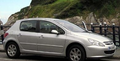 Descargar Manual PEUGEOT 307 2004 de usuario PDF gratis