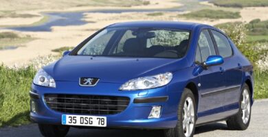 Descargar Manual PEUGEOT 407 2004 de usuario PDF gratis