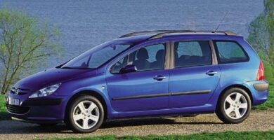 Descargar Manual PEUGEOT 307 BREAK 2005 de usuario PDF gratis