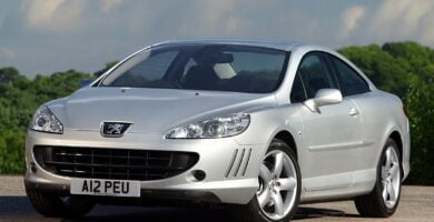 Descargar Manual PEUGEOT 407 2005 de usuario PDF gratis