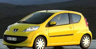 Descargar Manual PEUGEOT 107 2006 de usuario PDF gratis