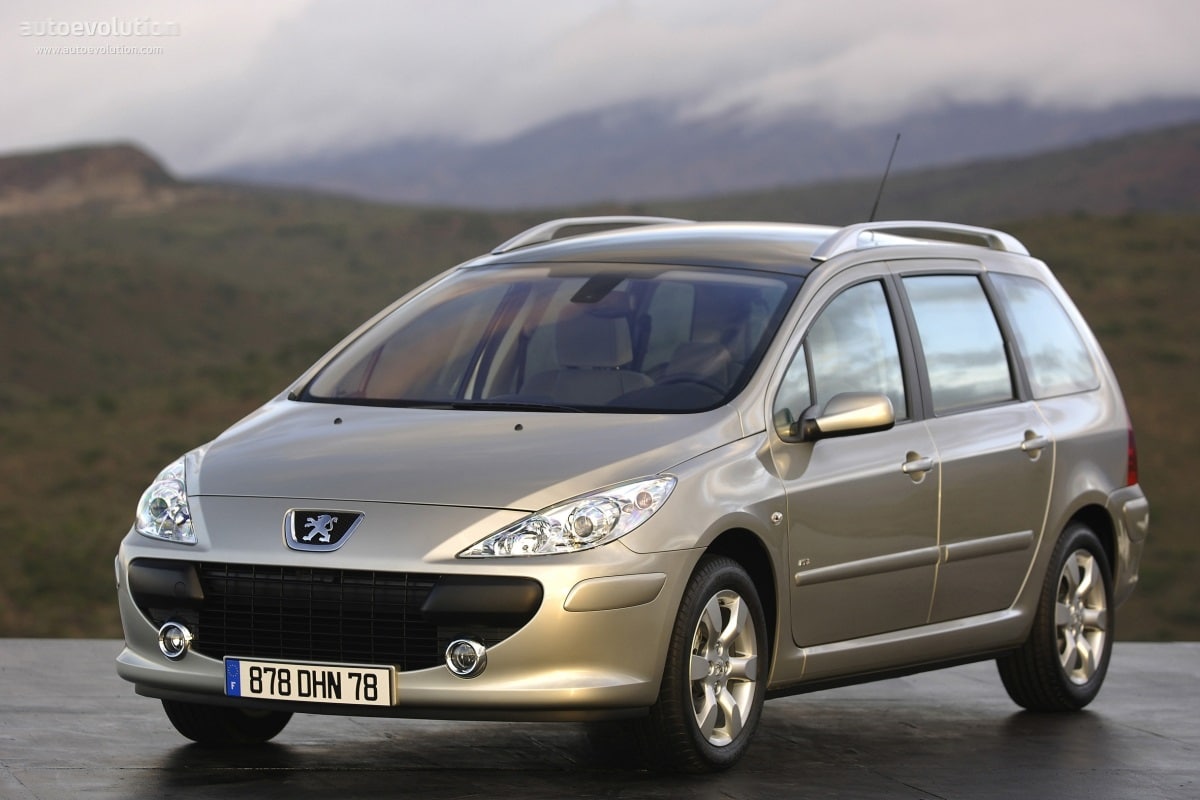 Descargar Manual PEUGEOT 307 SW 2006 de usuario PDF gratis