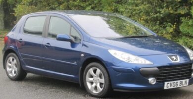 Descargar Manual PEUGEOT 307 2006 de usuario PDF gratis