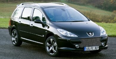 Descargar Manual PEUGEOT 307 BREAK 2007 de usuario PDF gratis