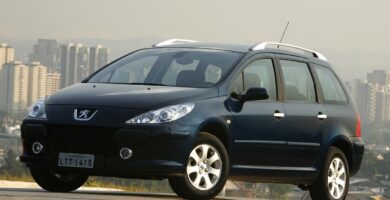 Descargar Manual PEUGEOT 307 SW 2007 de usuario PDF gratis