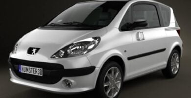 Descargar Manual PEUGEOT 1007 2008 de usuario PDF gratis