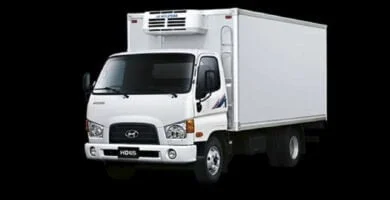 Descargar Manual HYUNDAI MEGA-TRUCKS 2008 de Usuario