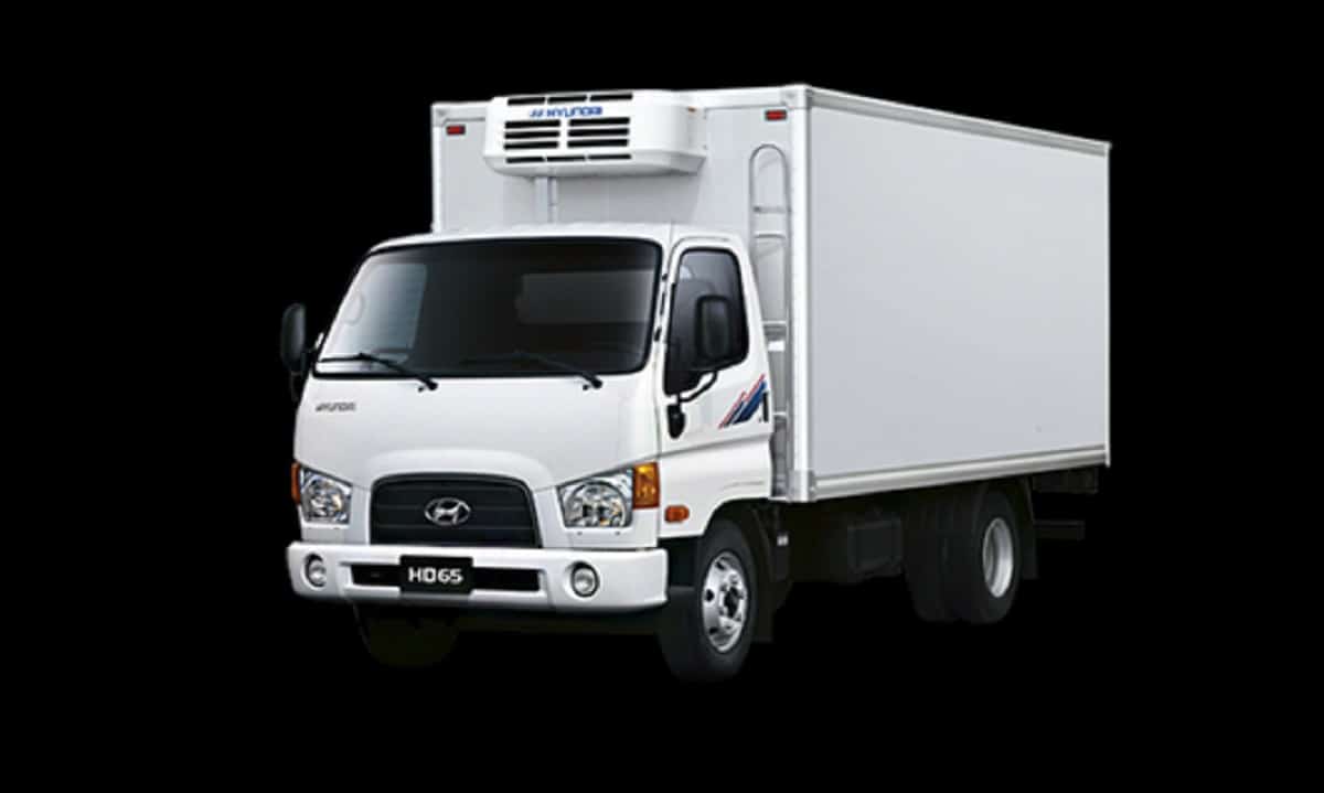 Descargar Manual HYUNDAI MEGA-TRUCKS 2008 de Usuario