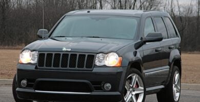 Descargar Manual JEEP GRAND CHEROKEE SRT8 2009 de Usuario en PDF Gratis