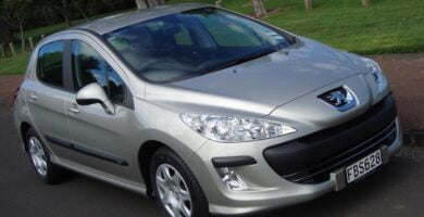 Descargar Manual PEUGEOT 308 2009 de usuario PDF gratis