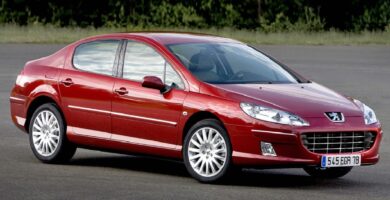 Descargar Manual PEUGEOT 407 2009 de usuario PDF gratis