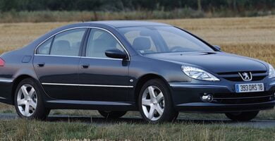 Descargar Manual PEUGEOT 607 2009 de usuario PDF gratis