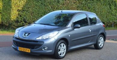 Descargar Manual PEUGEOT 206 2010 de usuario PDF gratis