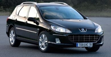 Descargar Manual PEUGEOT 407 2010 de usuario PDF gratis