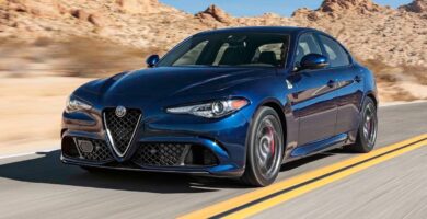 Descargar Manual ALFA ROMEO GIULIA QUADRIFOGLIO 2017 de Usuario