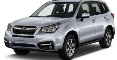 Descargar Manual SUBARU FORESTER 2017 de Usuario PDF Gratis