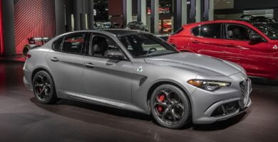 Descargar Manual ALFA ROMEO GIULIA QUADRIFOGLIO 2019 de Usuario