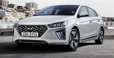 Descargar Manual HYUNDAI IONIQ 2019 de Usuario