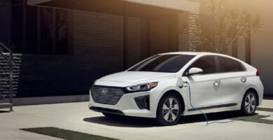 Descargar Manual HYUNDAI IONIQ PLUG-IN HYBRID 2019 de Usuario