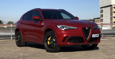 Descargar Manual ALFA ROMEO STELVIO QUADRIFOGLIO 2019 de Usuario