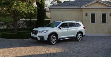 Descargar Manual SUBARU ASCENT 2019 de Usuario PDF Gratis