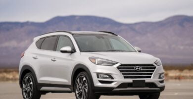 Descargar Manual HYUNDAI TUCSON 2019 de Usuario